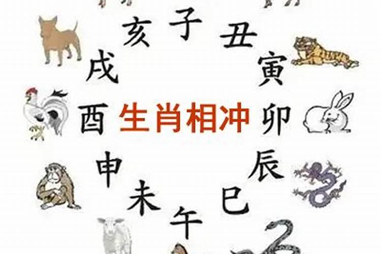 今天农历多少生肖相冲