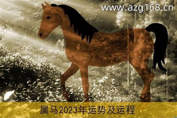 属马2017年运势及运程详解