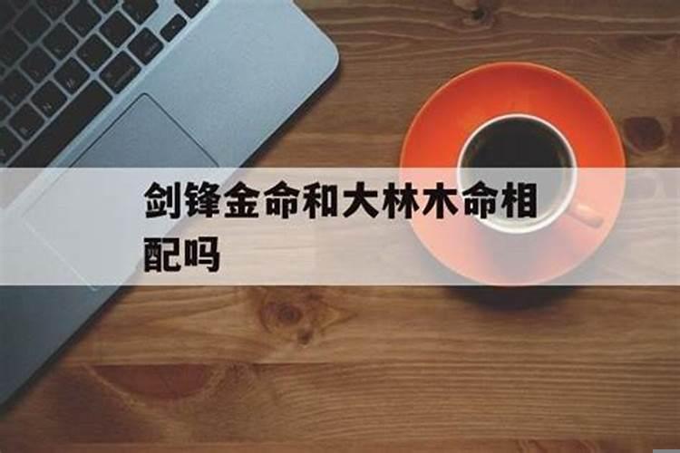 剑锋金命和大林木命合不合