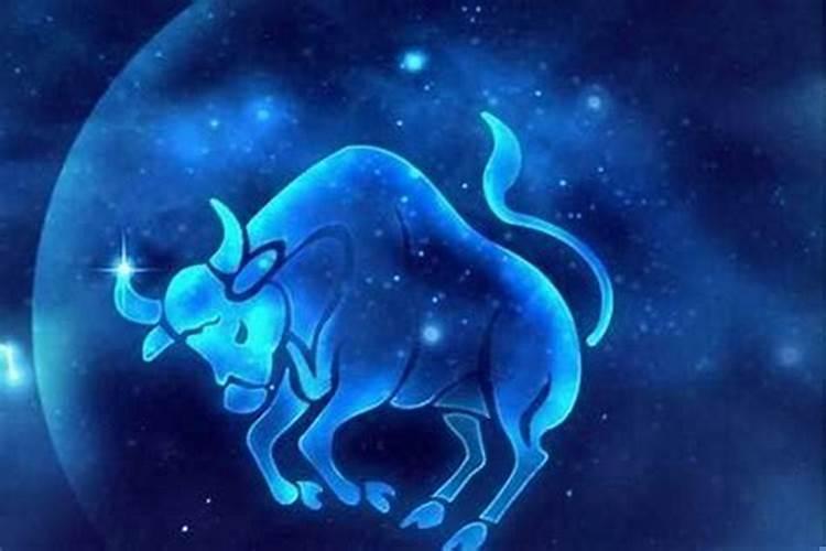 哪个星座最狠毒