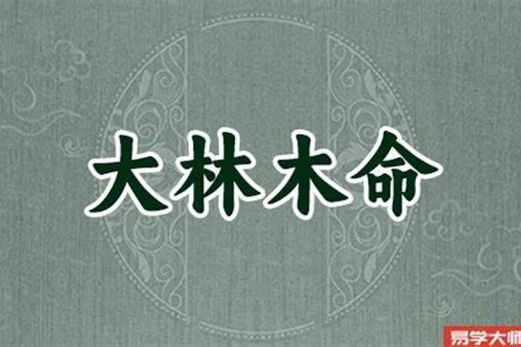 剑锋金命和大林木命合不合