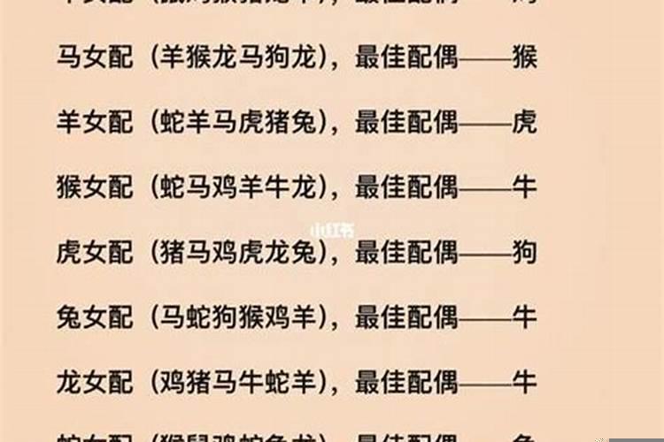 婚姻属相配对大全很准