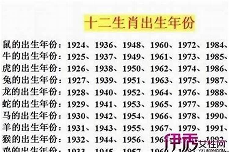 属兔人今年运气好吗