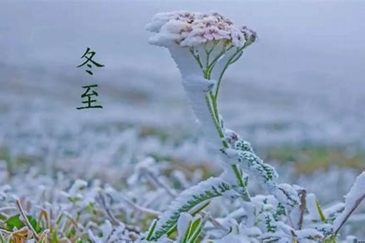2025年10月份黄道吉日查询