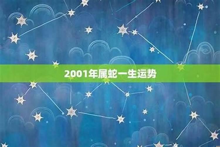 2001年出生的人是啥命