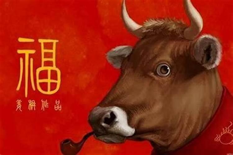 属牛住几层楼最好的选择