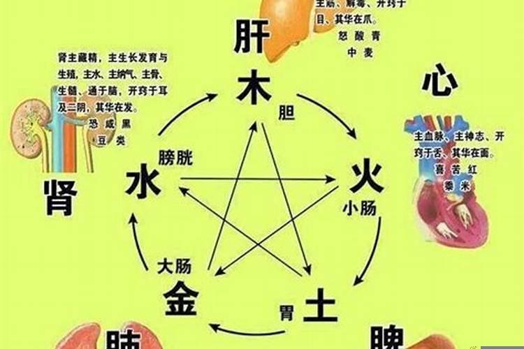 家里面最好的风水摆件