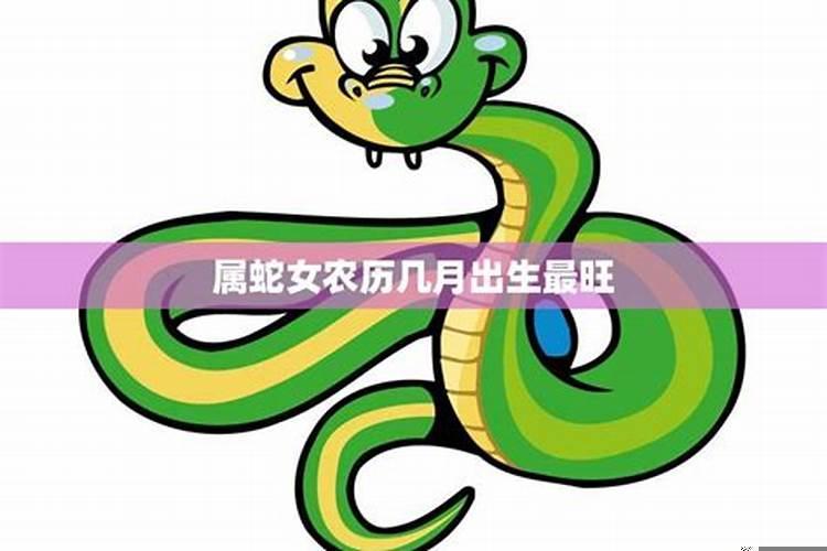 生肖属蛇的出生年份