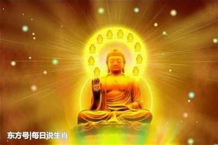 女命地支财多