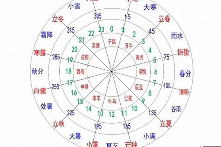 生肖马的天干地支