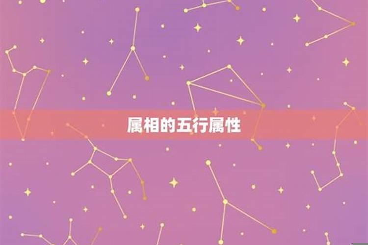 属虎的人和属鸡的人相配吗