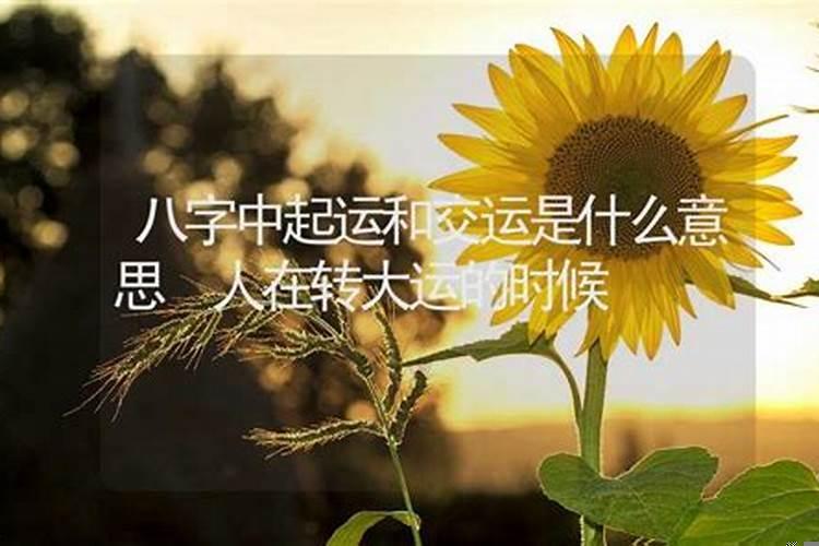 八字中的起运交运什么意思