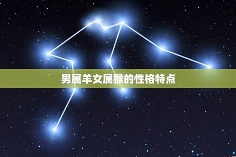 属猴女和数羊男的相配吗