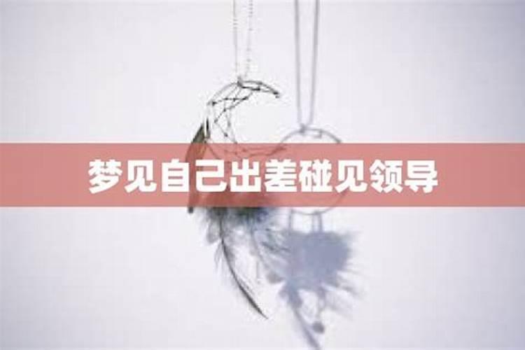 梦见自己的领导对自己不满