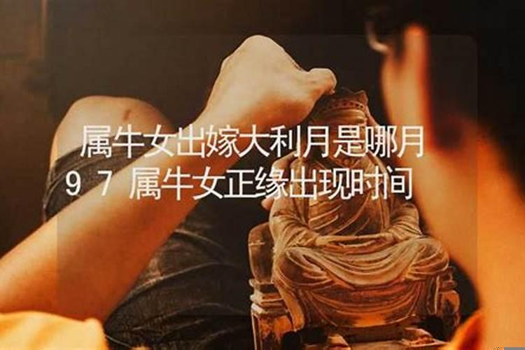 关于《本命年的回想》的问题有哪些