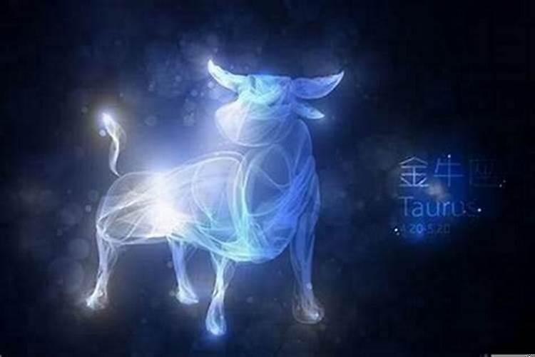 金牛座说爱我是什么意思呀