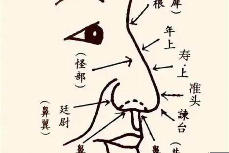 面相鼻子怎样是命好
