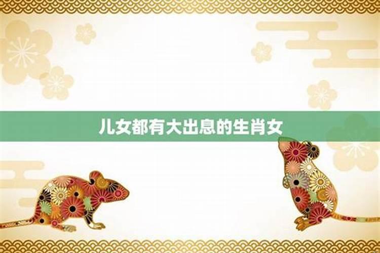 属羊人的旺财植物是什么