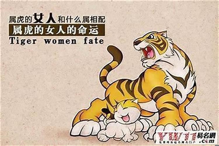 属虎命运为啥这么不好