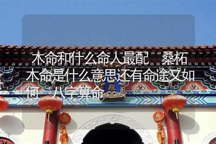 佛灯火命和桑柘木命婚配