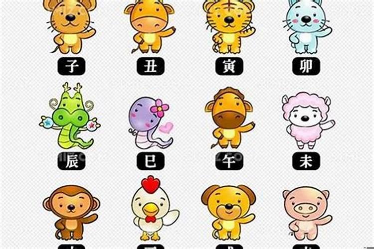 生肖属相配对可信吗