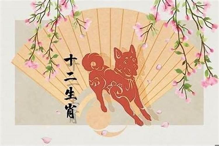 1982年属狗人桃花运