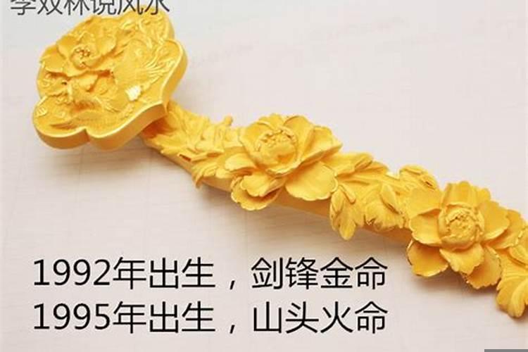 你是什么命?