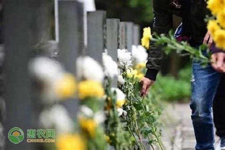 清明扫墓什么时候合适