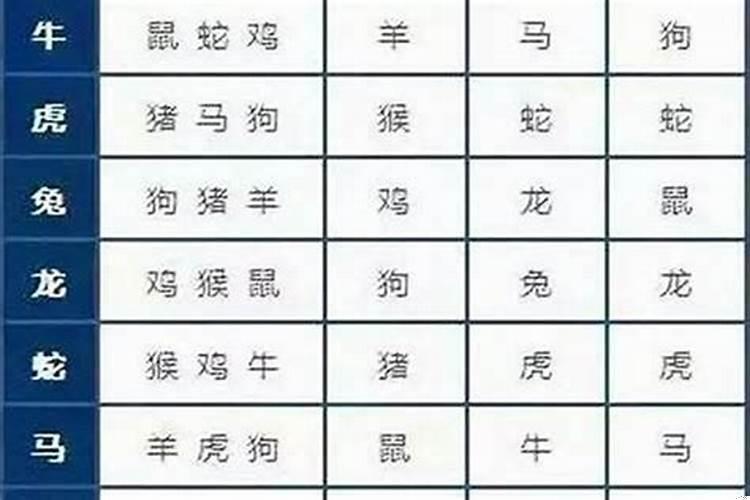 属蛇的和什么属相最配姻缘