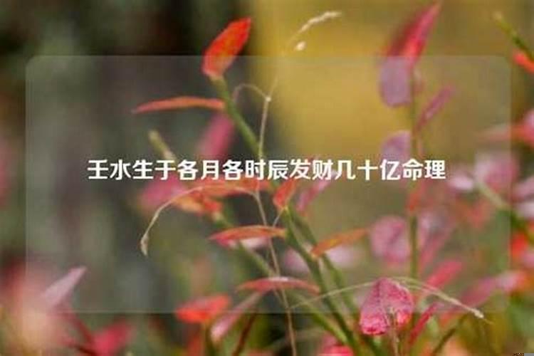 什么时候生的人是壬水命