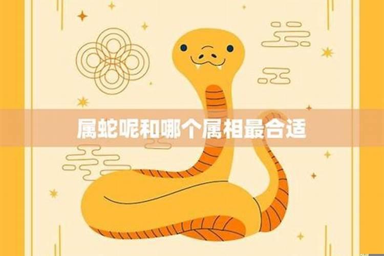 65年属蛇的最佳配偶