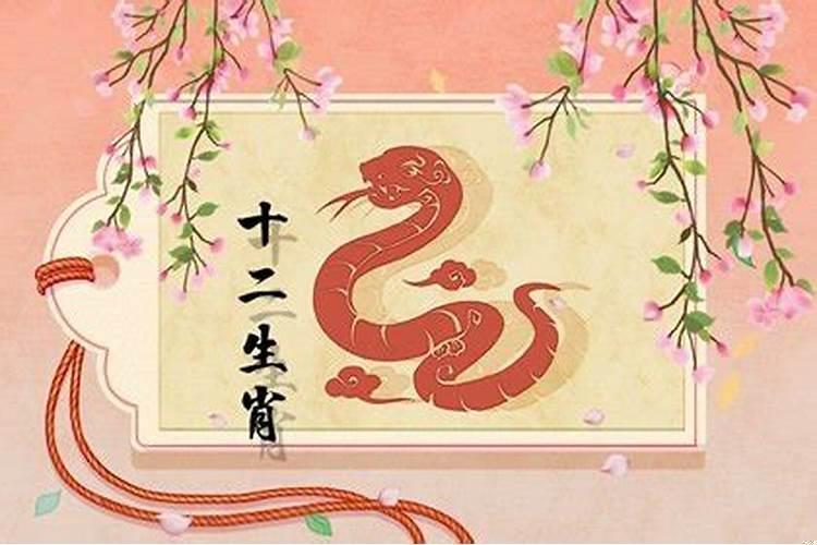 生肖属蛇的幸运颜色和数字