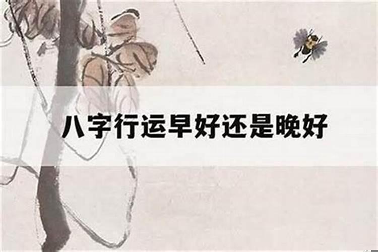 8岁起运的人