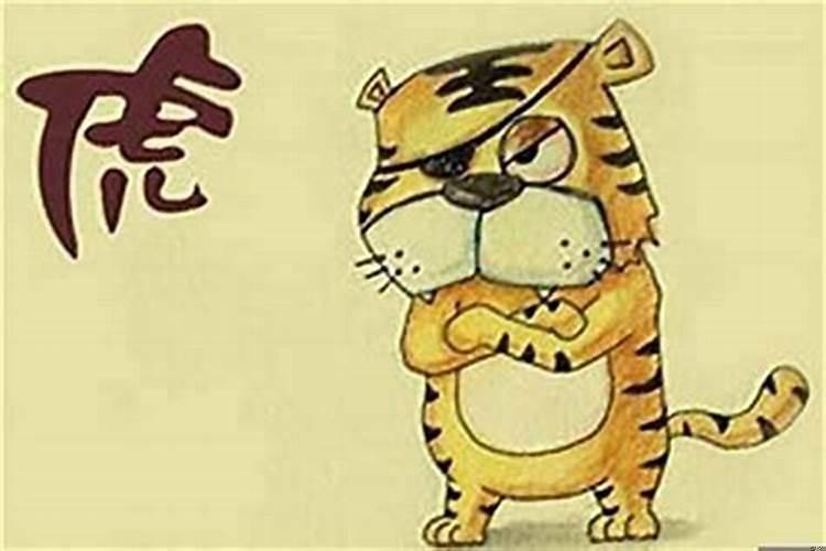 属猪遇虎年2025年