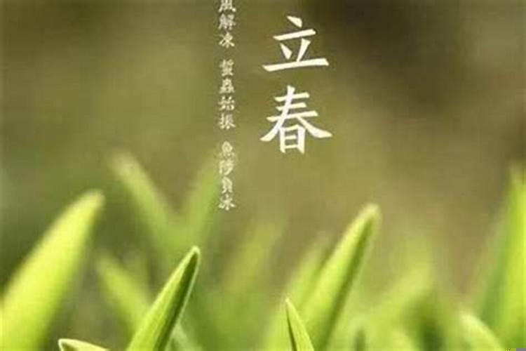 今天立春哪些属相冲太岁