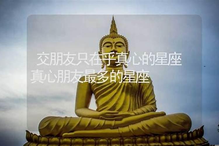真心朋友最多的生肖