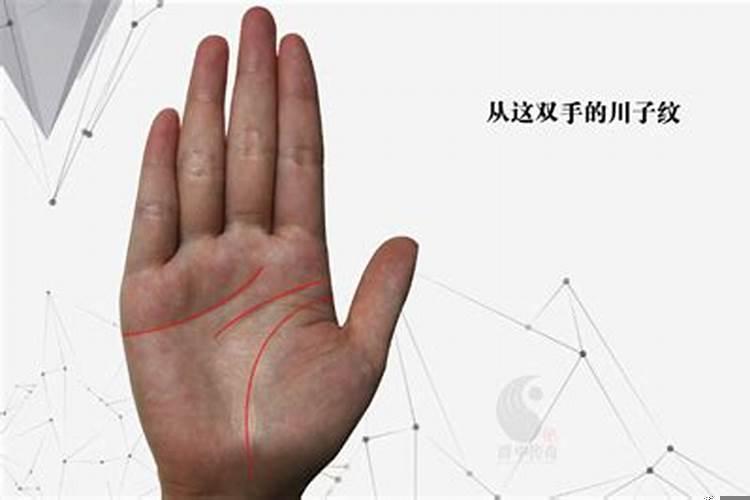 人为啥有手纹