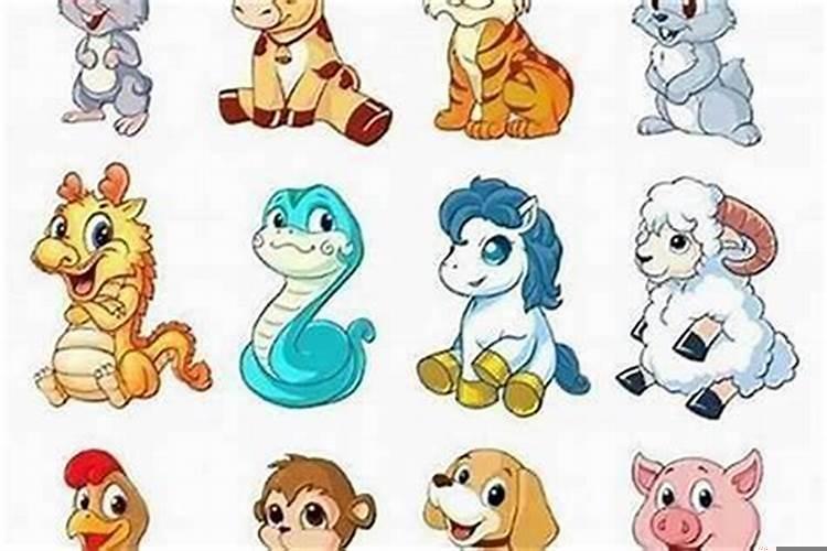 家中有三合属相的好处