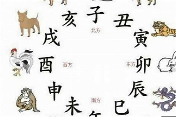 属虎跟什么生肖三合