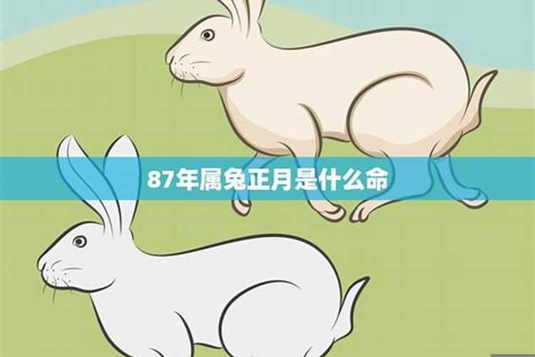 87年33岁属兔财运