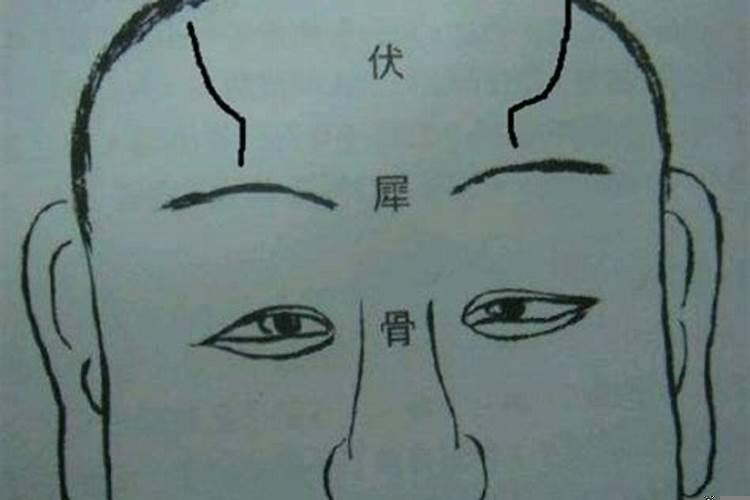 当大官的面相有什么特点