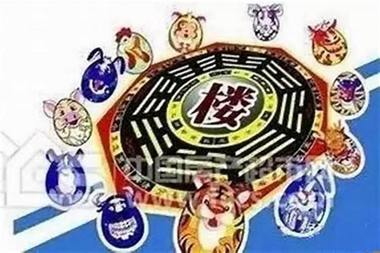 所有生肖住什么楼层最好