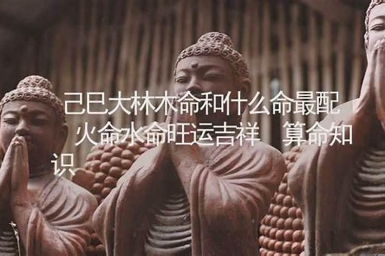 大林木命的人带什么旺财