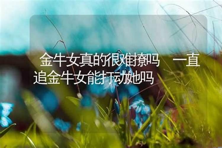 金牛女会主动撩吗