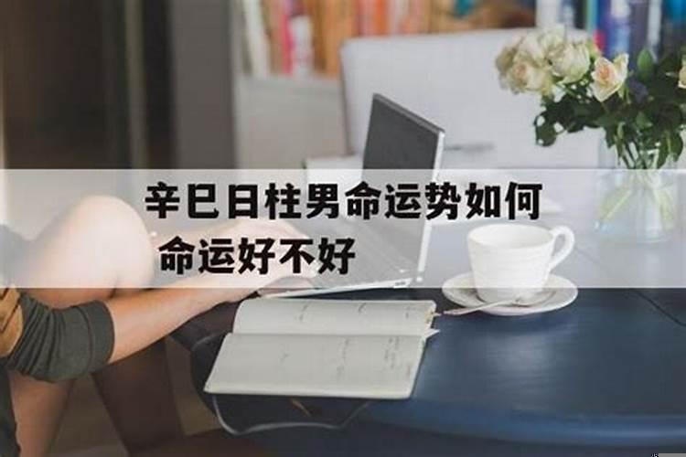 辛巳日柱男命运势如何看