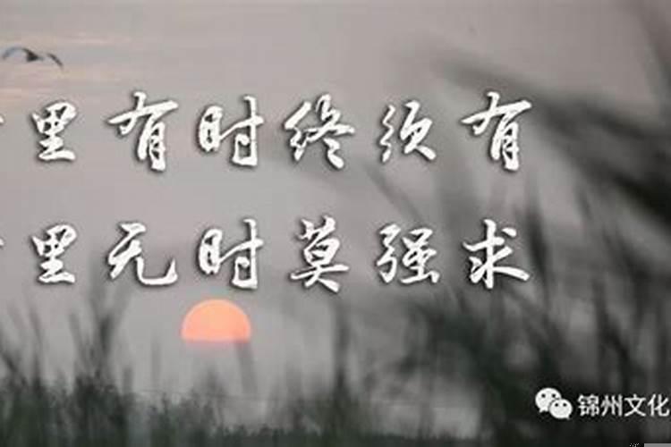 戊辰日看配偶