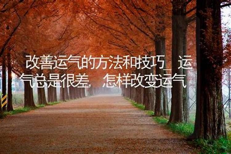 家中风水禁忌有哪些要注意的事项