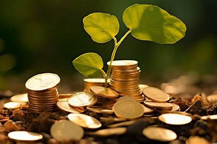 什么叫身弱不担财