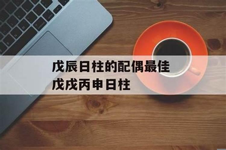 戊辰日看配偶