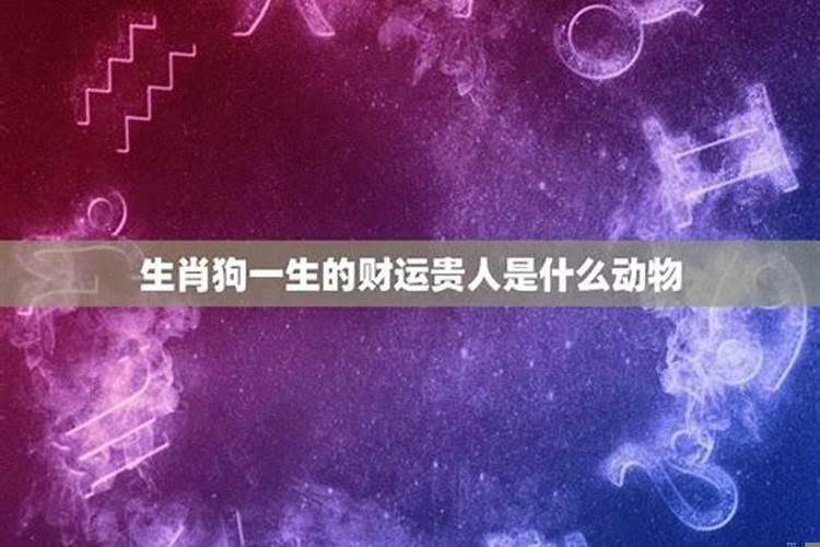 财运到底是什么